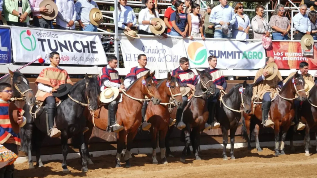 champion