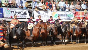 champion