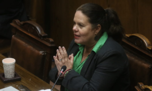Maya Fernández renuncia al Ministerio de Defensa