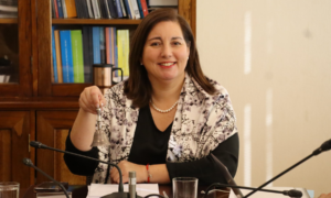 Paulina Vodanovic baja su candidatura presidencial